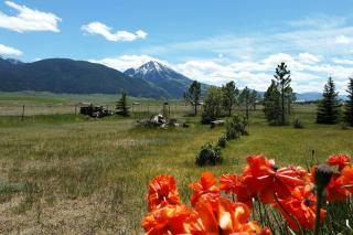 Chico Peak cabin nr Yellowstone,Chico Hot Springs - Pray - 9