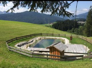 Sonnleit'n Zimmer 3 - Abtenau - 4