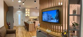Apartmani Central 3 & Free parking garage - Vrnjačka Banja - 1