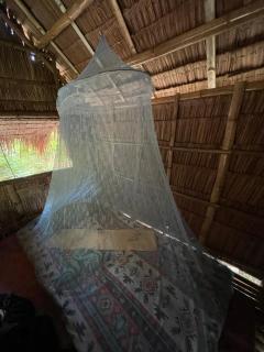 Tribal Huts Community - Daanbantayan - 1