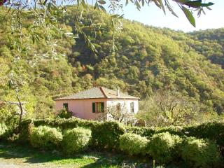Country House With Big Garden - Gazzelli - 9