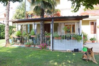 Giardino - Umag - 3