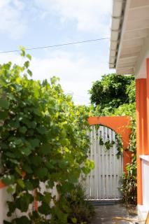 Frenz Coconut Suites 2 - Soufriere - 7