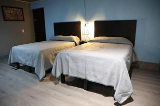 Hotel 1140 - Linares - 5