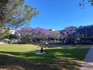 Zetland Three bedrooms - 2