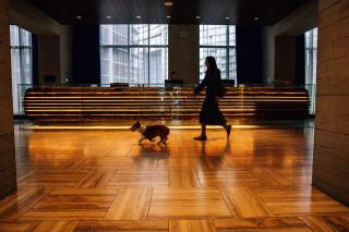 the DOUGLAS, Autograph Collection - 4