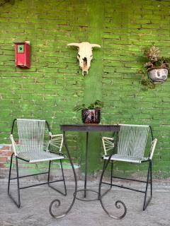 El Rincón del Cactus - 1