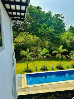 Green Bamboo Villa - Galle - 6