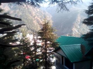 Himalayan Triund Hill View Hostel - 9