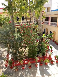 Alka guest house - Pushkar - 3