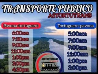 Casa turtle Bogue - Tortuguero - 8