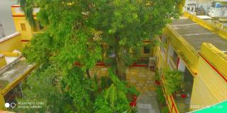 Alka guest house - Pushkar - 6
