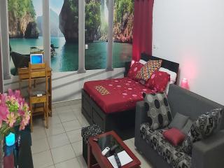 Magnifique Studio Meuble - Abidjan - 4