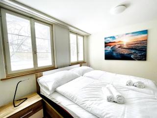 Schone Altbauwohnung Im Zentrum - St. Gallen - 7
