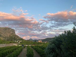 Rustic charm, Olivo Suite with private bathroom and unique views - 7
