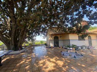 Room in Guest room - CHARMING OLIVE ROOM M - Alzira - 2