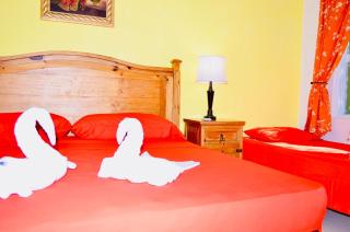 Executive Budget Room With Swimming Pool Air Conditioning and Parking - Playa del Carmen - 2