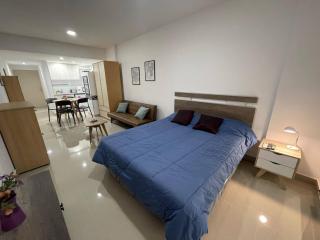 Studio In San Telmo- Paseo De La Cisterna 323 - Buenos Aires - 9