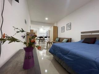 Studio In San Telmo- Paseo De La Cisterna 323 - Buenos Aires - 8