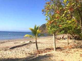 Tranquil Beachside Retreat with Private Pool in Garabito - 1