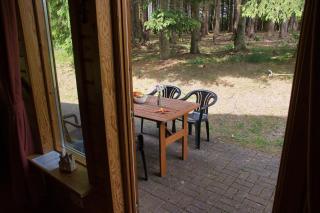 Your holiday home in Hasselfelde in the Harz Mountains - Hasselfelde - 4