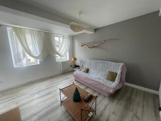 Le pont Saint Roch Logement lumineux avec garage - Lavaur - 7