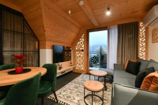 Salamandra SPA Jacuzzi, Sauny, Tężnia, panorama Tatr - 1