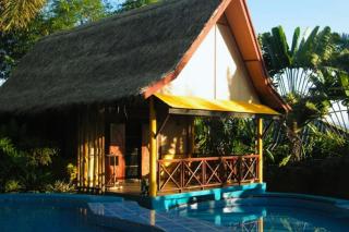 Old Tree's House - 4