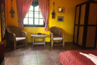 Old Tree's House - 0