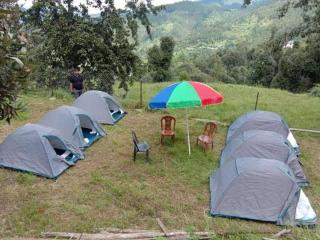 Janardan Campsite Kausani - Kausani - 8