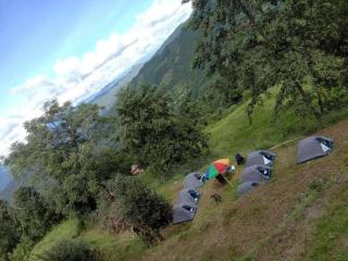 Janardan Campsite Kausani - Kausani - 9
