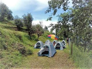 Janardan Campsite Kausani - Kausani - 4