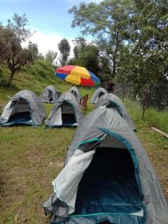Janardan Campsite Kausani - Kausani - 5