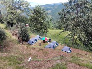 Janardan Campsite Kausani - Kausani - 7