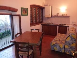 Two-room apartment in Tuscan rustic style - La Lama - 9