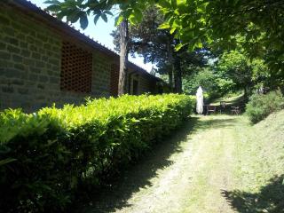 Amazing stay in Tuscany rustic style - 8