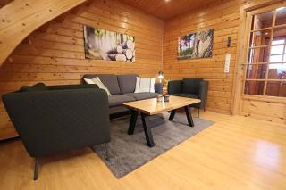 The house to stay for holidays - Hasselfelde - 9