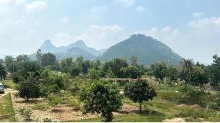 Eco Villa Resort - - 9