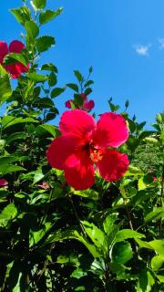 E&N Paradise Island Resort - 5