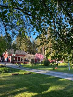 Charming property with private pool - Märsta - 4