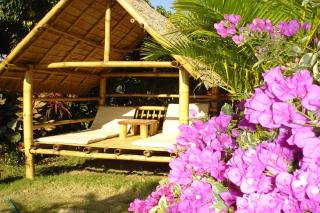 Old Tree's House - Mae Ai - 9