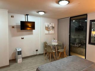 Loft Comodo Con Gym En Independencia - 3