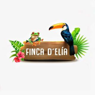 D'Elia Jungle Lodge - Talamanca - 5