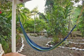 D'Elia Jungle Lodge - Talamanca - 1