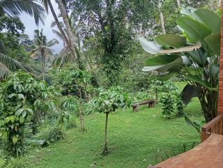 Trecof Jungle Villa - 6