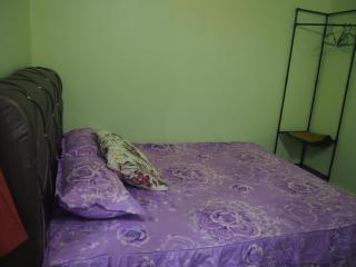 D'Binjai Homestay & Roomstays Kuala Kangsar - Kuala Kangsar - 3