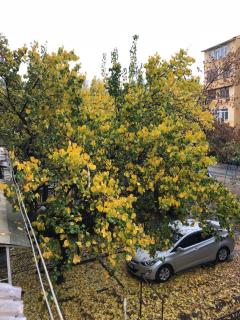 Новая квартира в спальном районе Ташкента - Tashkent - 4