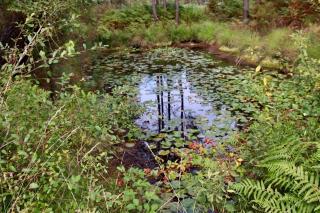 DOMAINE de LA TAPIE - 3