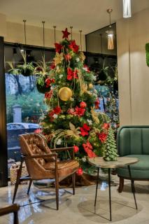 Hotel Botanica - Belgrado - 8