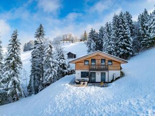 Chalet Alpenherz - Kirchberg in Tirol - 8